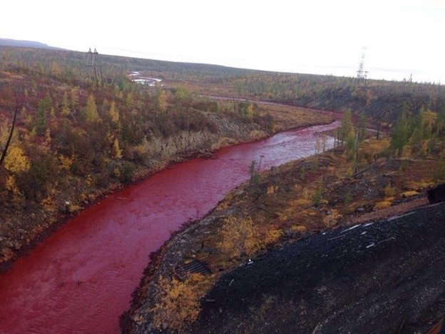 Норильск, катастрофа, новости, экология, ущерб, Потанин, Росприроднадзор, Радионова, сговор, Сечин, скандал, загрязнение, халатность, бездействие, офшоры, махинации, нарушения, Путин, расследование