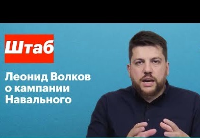 Навальный, Волков, Крашенинников, Потапов, оппозиция, выборы, фирмы, схемы, ФНС, элиты