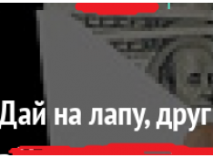 В Следственный комитет РФ: Галина Косматенко, фигурировавшая в рейдерском скандале, теперь засветилась в коррупционном. С мэрами и собаколовами